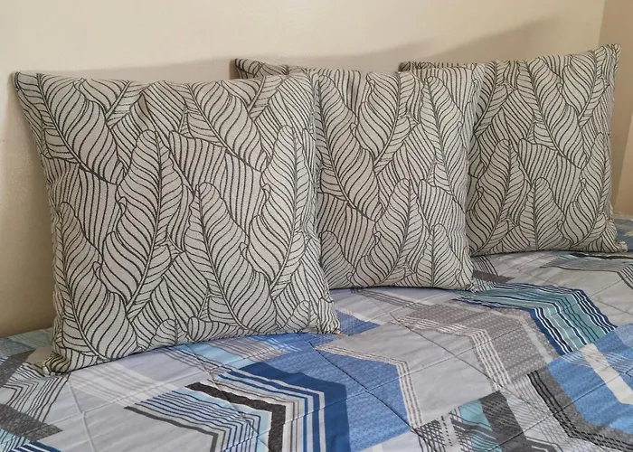 Apartment , Wifi Up To 100mbps , Infinity Pool Cebu
